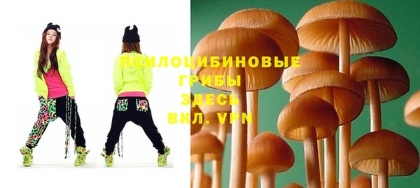 ALPHA PVP Алексин