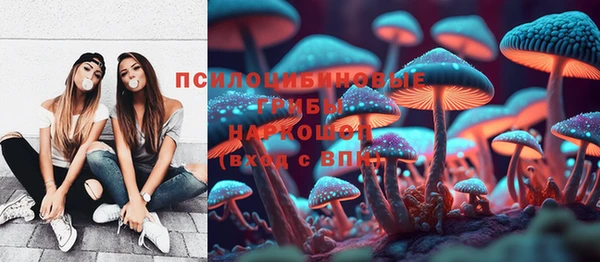 ALPHA PVP Алексин