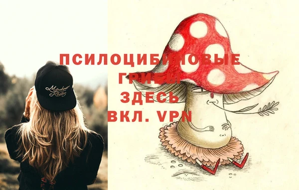 ешки Алзамай