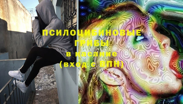 ALPHA PVP Алексин