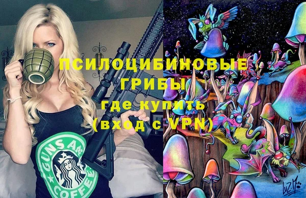 ешки Алзамай