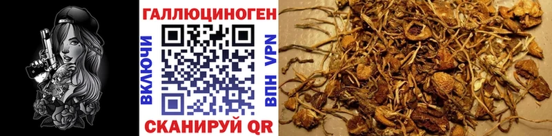 что такое наркотик  Олонец  Галлюциногенные грибы GOLDEN TEACHER 